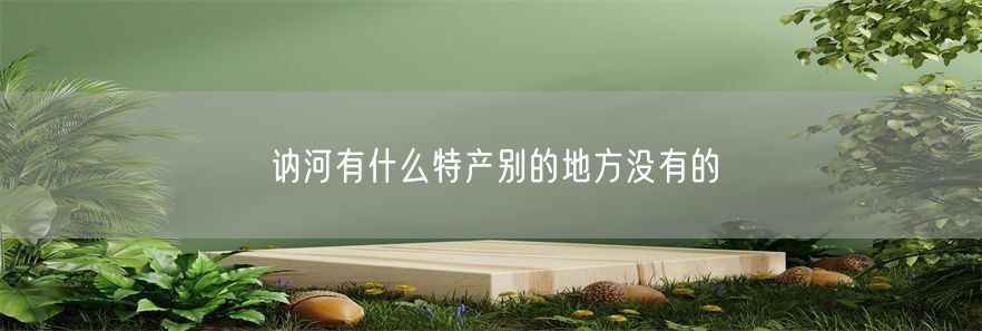 讷河有什么特产别的地方没有的