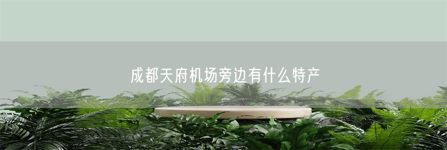 成都天府机场旁边有什么特产