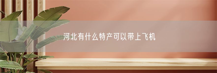 河北有什么特产可以带上飞机