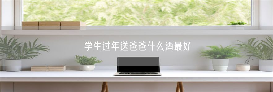 学生过年送爸爸什么酒最好