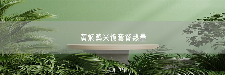 黄焖鸡米饭套餐热量(1)