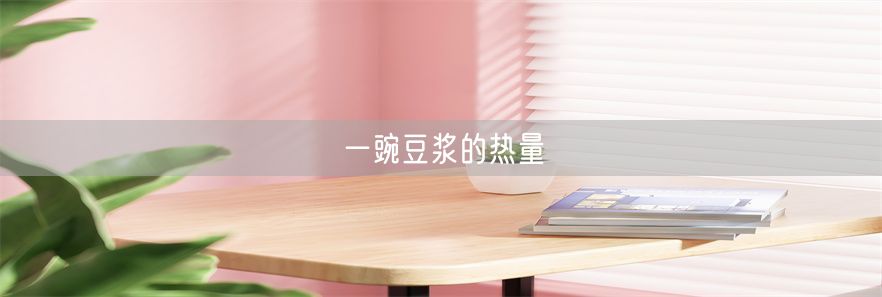 一豌豆浆的热量