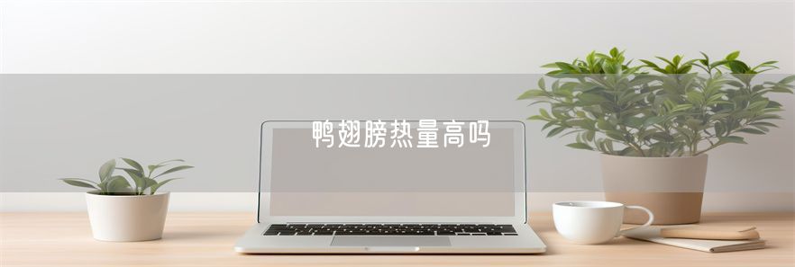 鸭翅膀热量高吗