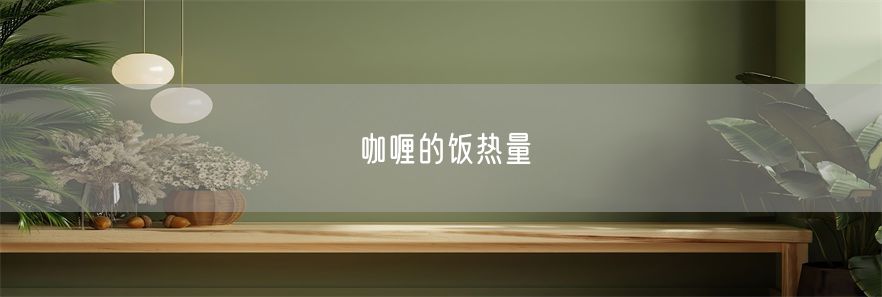咖喱的饭热量