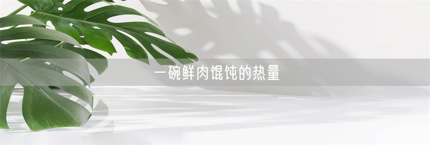 一碗鲜肉馄饨的热量