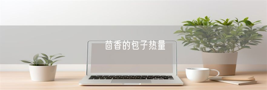 茴香的包子热量(1)