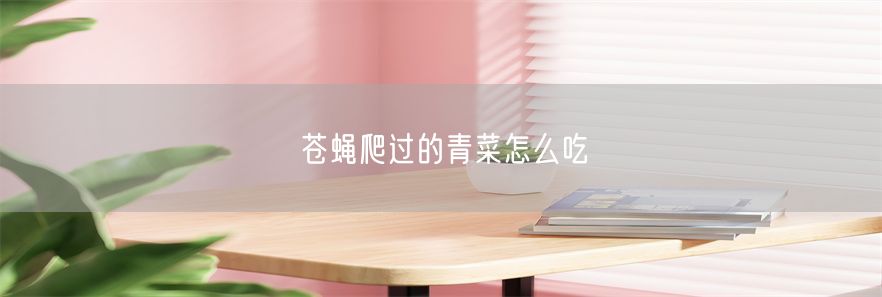 苍蝇爬过的青菜怎么吃