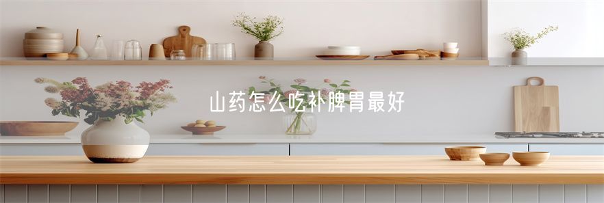 山药怎么吃补脾胃最好
