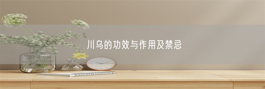 川乌的功效与作用及禁忌(1)