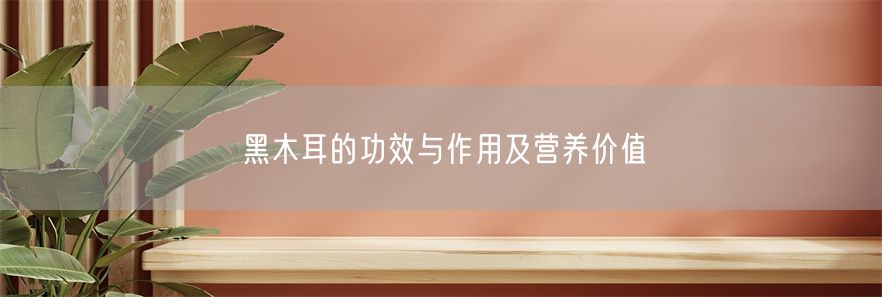黑木耳的功效与作用及营养价值(1)