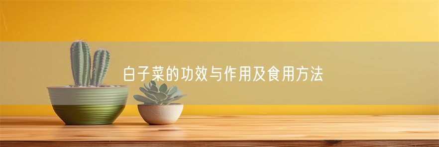 白子菜的功效与作用及食用方法(1)