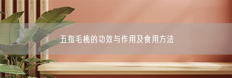五指毛桃的功效与作用及食用方法(1)