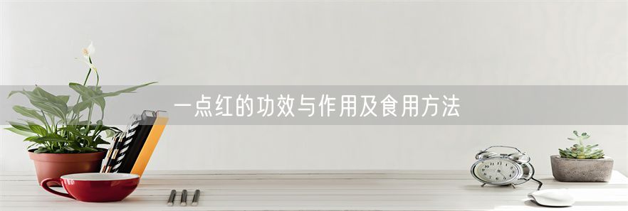 沙棘的功效与作用及食用方法(1)