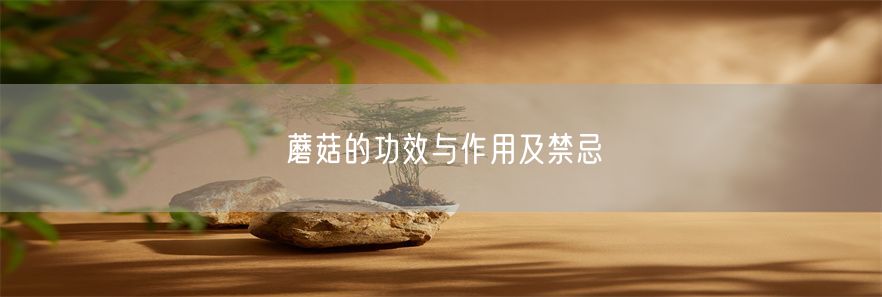 蘑菇的功效与作用及禁忌(1)