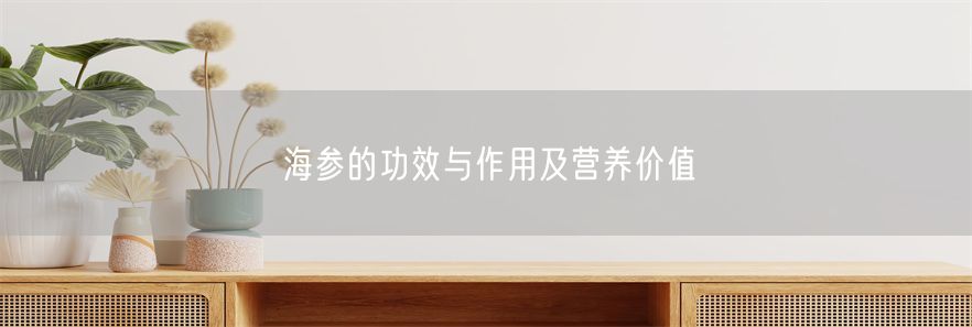 海参的功效与作用及营养价值(1)