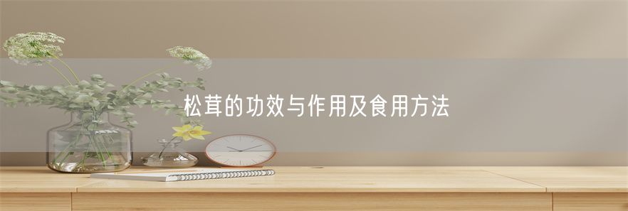 松茸的功效与作用及食用方法(1)