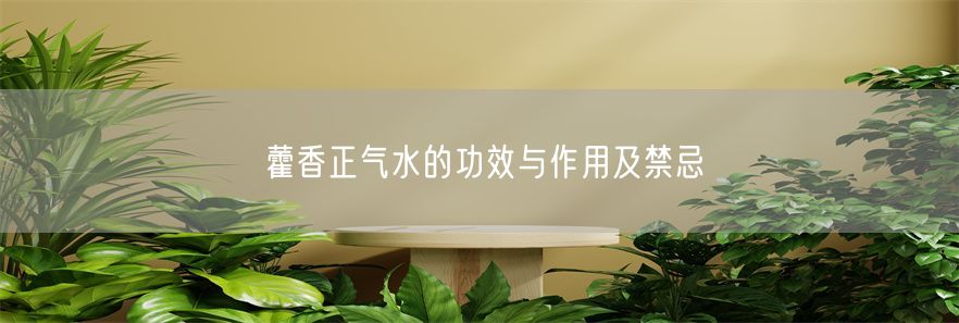 藿香正气水的功效与作用及禁忌(1)