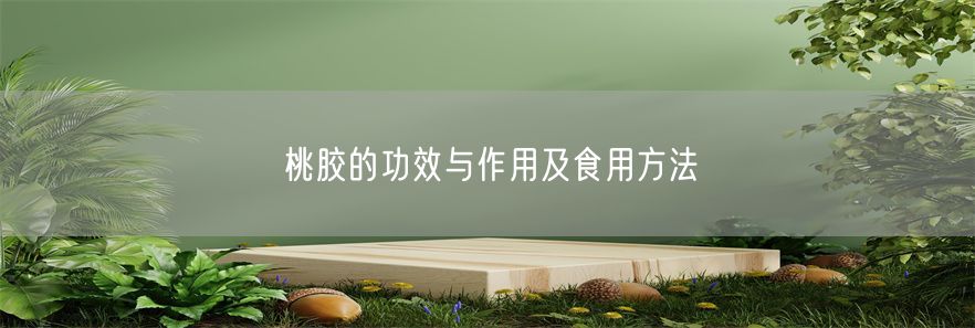 桃胶的功效与作用及食用方法(1)