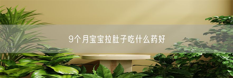 9个月宝宝拉肚子吃什么药好(1)