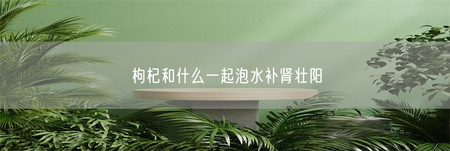 枸杞和什么一起泡水补肾壮阳(1)