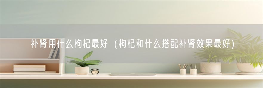 补肾用什么枸杞最好（枸杞和什么搭配补肾效果最好）(1)