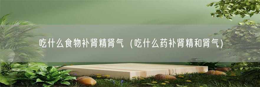 吃什么食物补肾精肾气（吃什么药补肾精和肾气）(1)