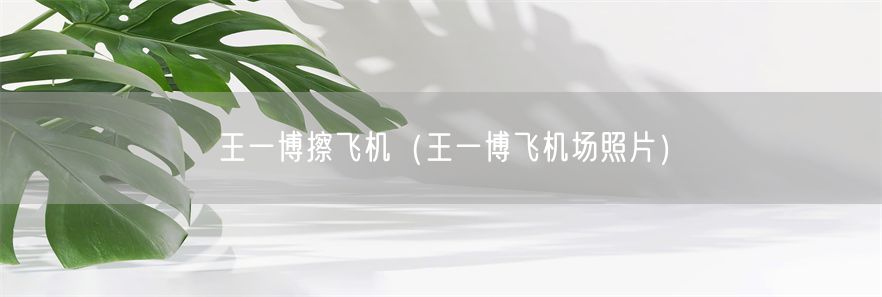 王一博擦飞机（王一博飞机场照片）(1)