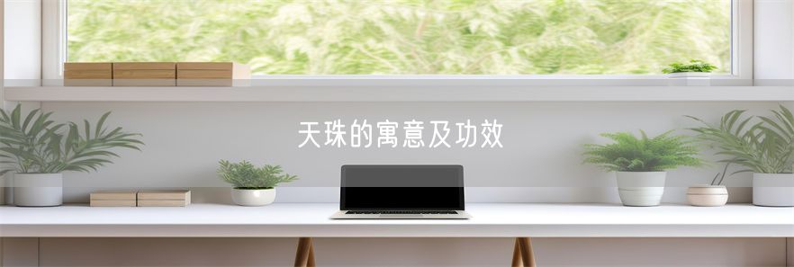 天珠的寓意及功效(1)