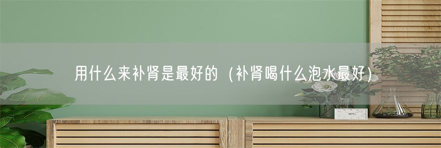 用什么来补肾是最好的（补肾喝什么泡水最好）(1)