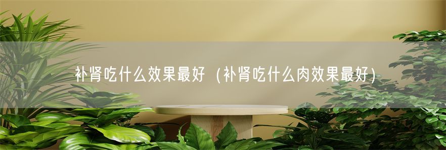 补肾吃什么效果最好（补肾吃什么肉效果最好）(1)