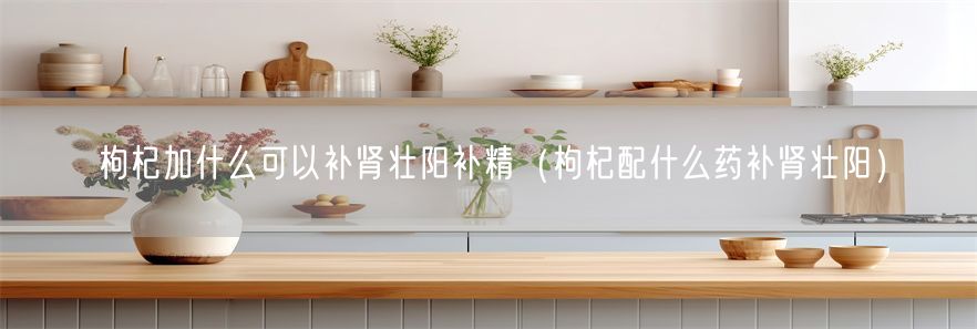 枸杞加什么可以补肾壮阳补精（枸杞配什么药补肾壮阳）(1)