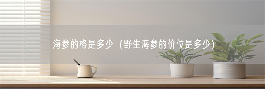 海参的格是多少（野生海参的价位是多少）(1)