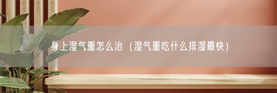 身上湿气重怎么治（湿气重吃什么排湿最快）(1)
