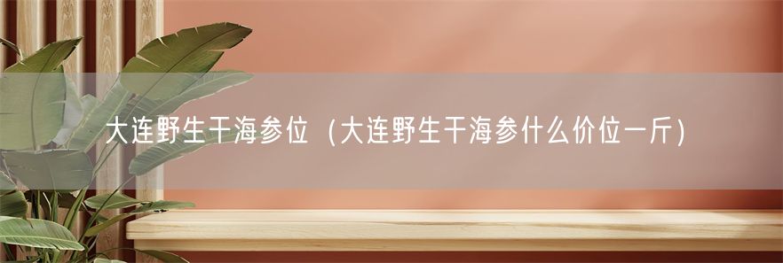 大连野生干海参位（大连野生干海参什么价位一斤）(1)