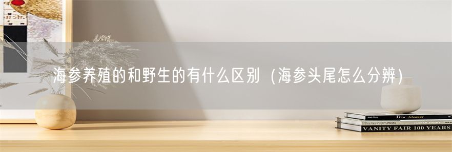 海参养殖的和野生的有什么区别（海参头尾怎么分辨）(1)