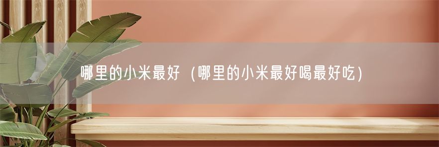 哪里的小米最好（哪里的小米最好喝最好吃）(1)
