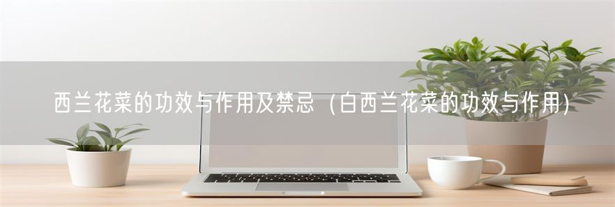 西兰花菜的功效与作用及禁忌（白西兰花菜的功效与作用）(1)