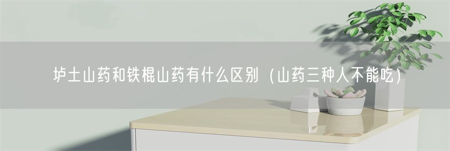垆土山药和铁棍山药有什么区别（山药三种人不能吃）(1)