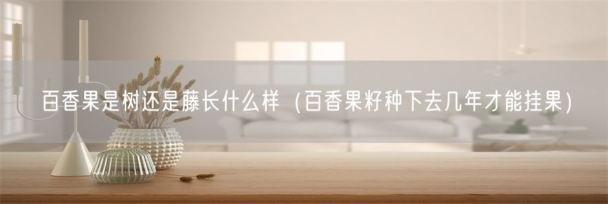 百香果是树还是藤长什么样（百香果籽种下去几年才能挂果）(1)