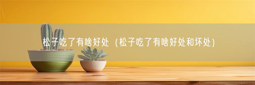 松子吃了有啥好处（松子吃了有啥好处和坏处）(1)