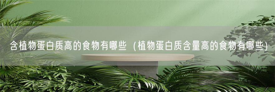 含植物蛋白质高的食物有哪些（植物蛋白质含量高的食物有哪些）(1)