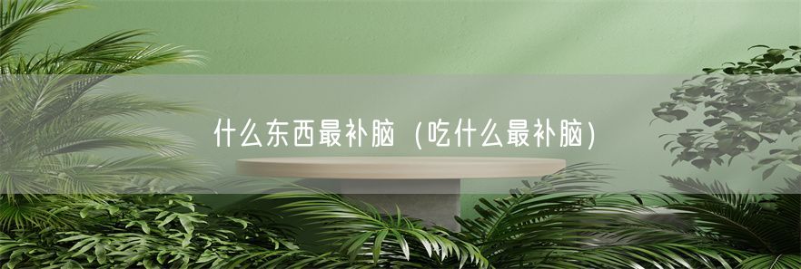 什么东西最补脑（吃什么最补脑）(1)