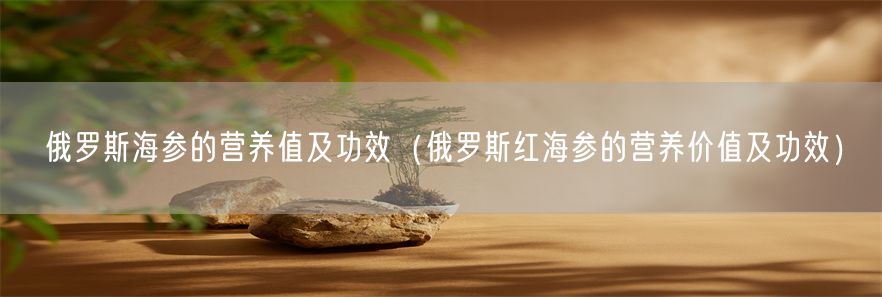 俄罗斯海参的营养值及功效（俄罗斯红海参的营养价值及功效）(1)