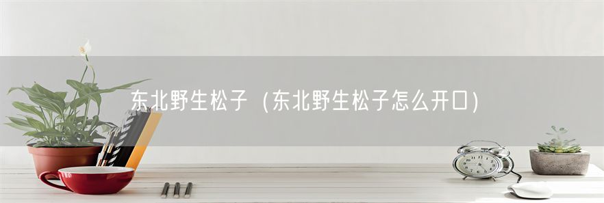 东北野生松子（东北野生松子怎么开口）(1)