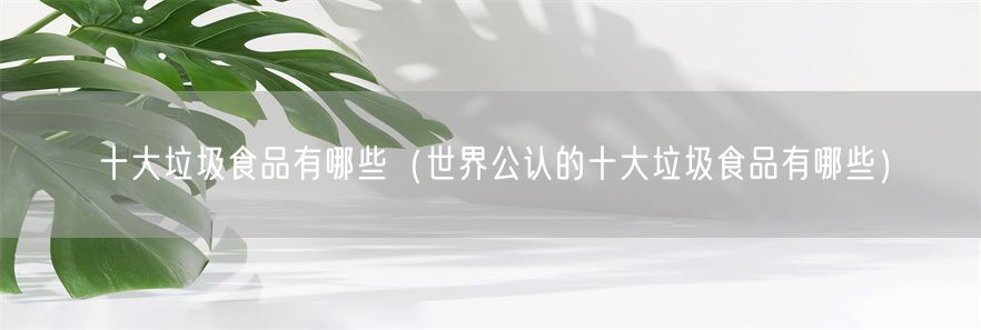 十大垃圾食品有哪些（世界公认的十大垃圾食品有哪些）(1)