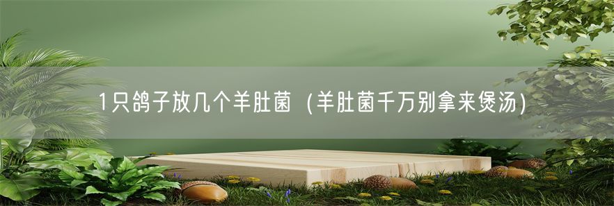 1只鸽子放几个羊肚菌（羊肚菌千万别拿来煲汤）(1)