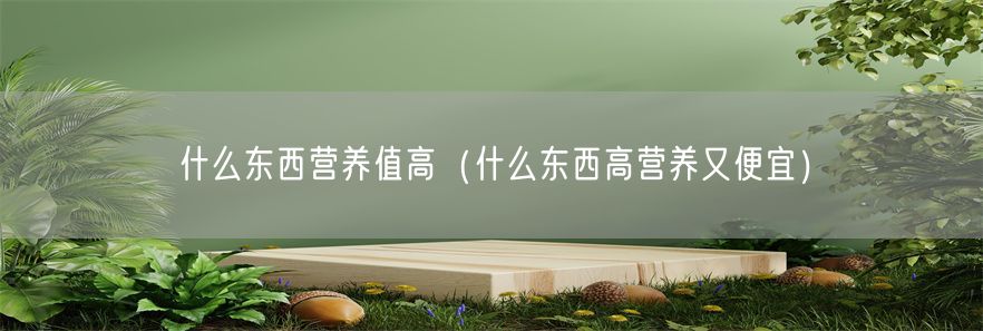 什么东西营养值高（什么东西高营养又便宜）(1)
