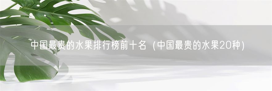 中国最贵的水果排行榜前十名（中国最贵的水果20种）(1)