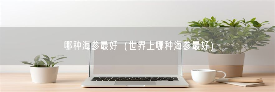 哪种海参最好（世界上哪种海参最好）(1)