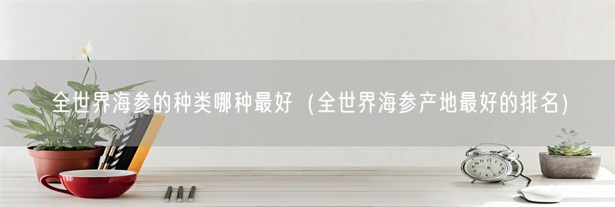 全世界海参的种类哪种最好（全世界海参产地最好的排名）(1)
